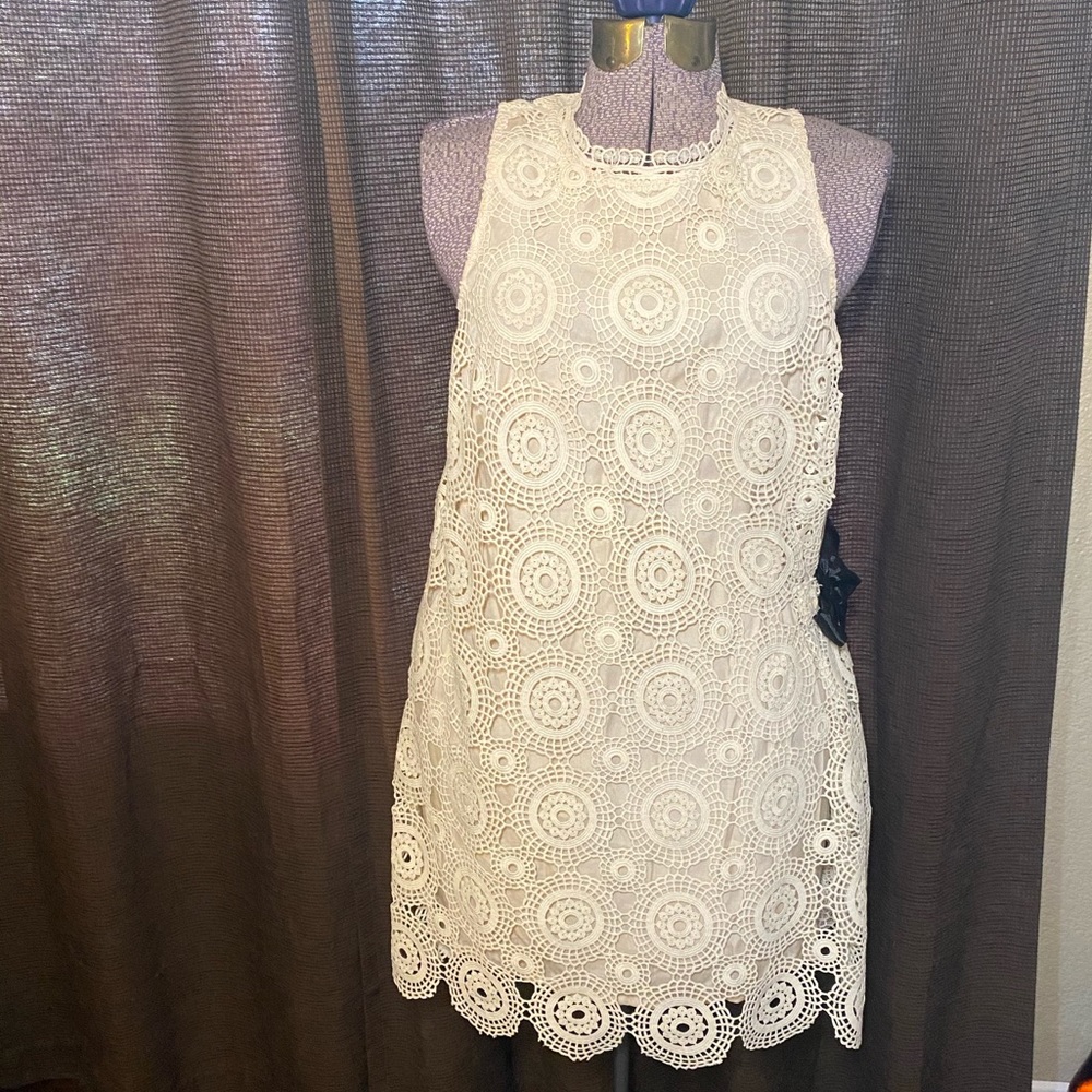 Gorgeous Free People lace button back dress sz 10